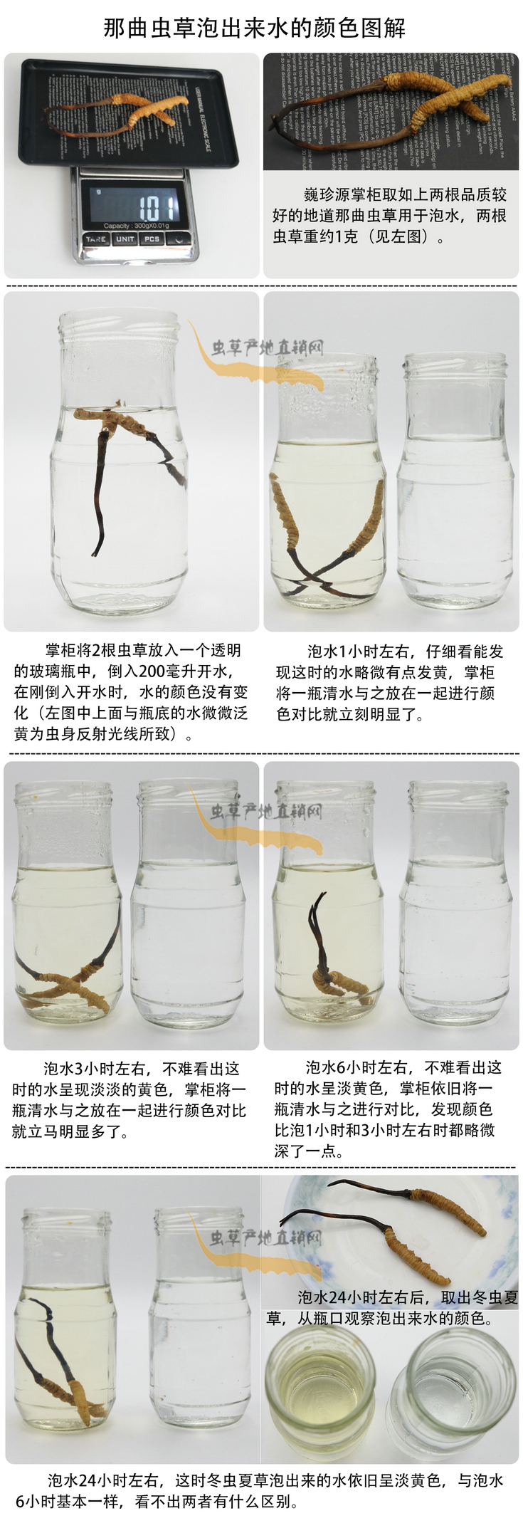 ���x�Ĳ��ݳ���ˮ���ɫ�����x�Ĳ��ݳ�����ˮ��ʲô�ɫ�����x�Ĳ���ˮ���ɫ��׃�����������x�����^ˮ��ˮ׃��ʲô�ɫ