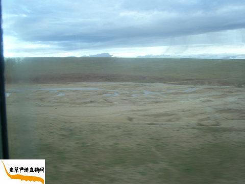 �ɿ�����,��ظ�ԭ,�x�ݮa(ch��n)��ֱ�N�W(w��ng)