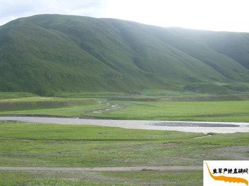 �����x�ݮa(ch��n)����Ȼ�L(f��ng)��,���x�Ĳݮa(ch��n)��