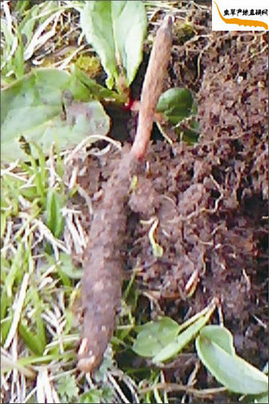 �����ڳ����Ķ��x�Ĳ�,�x��߀��������,�@�r(sh��)�Ķ��x�Ĳ�Ҳ�����r���x�Ĳ�